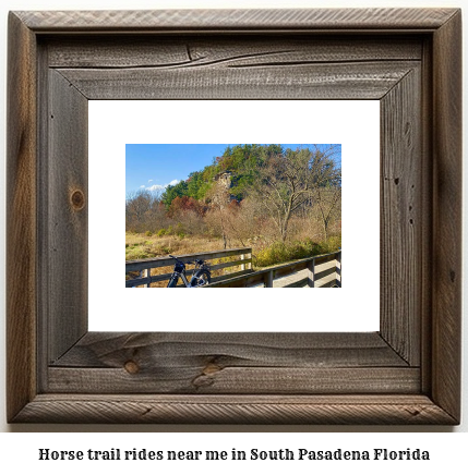 horse trail rides near me in South Pasadena, Florida